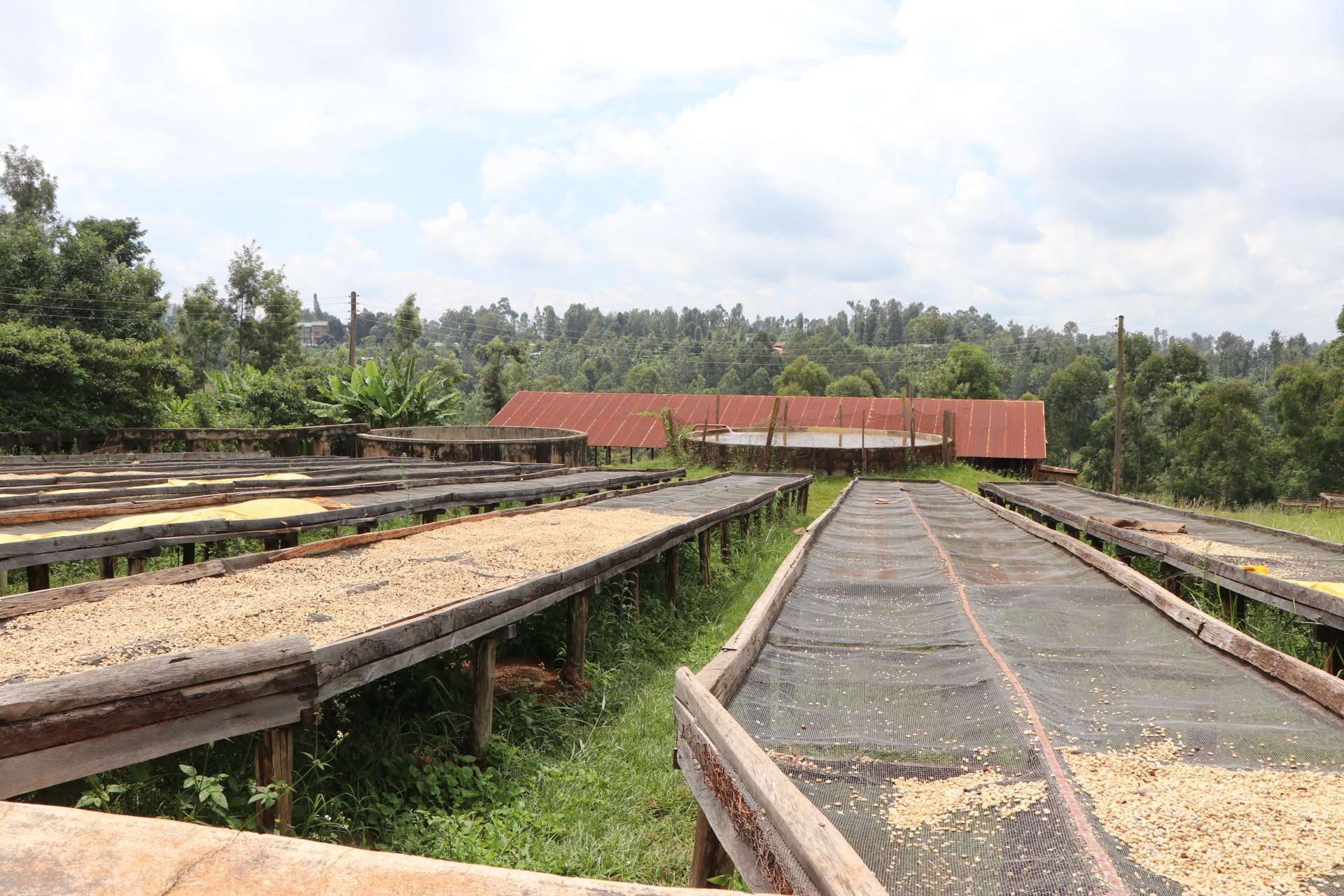 What is Free on Board (FOB) Price in Coffee?