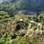 Decaf El Vergel Tolima image 3