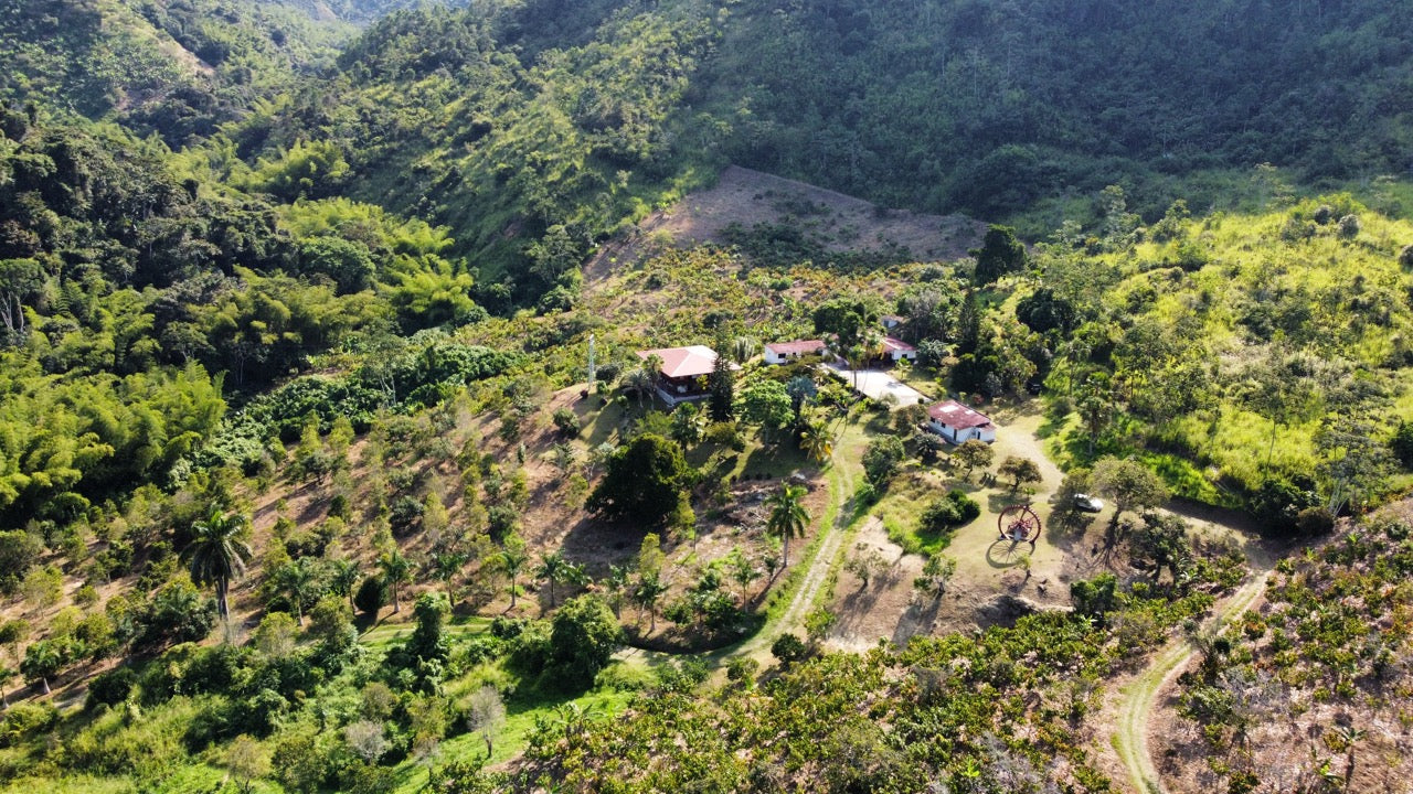 Decaf El Vergel Tolima image 3