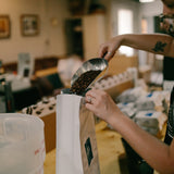 Roaster's Choice Subscription 5lb - Firelight Coffee