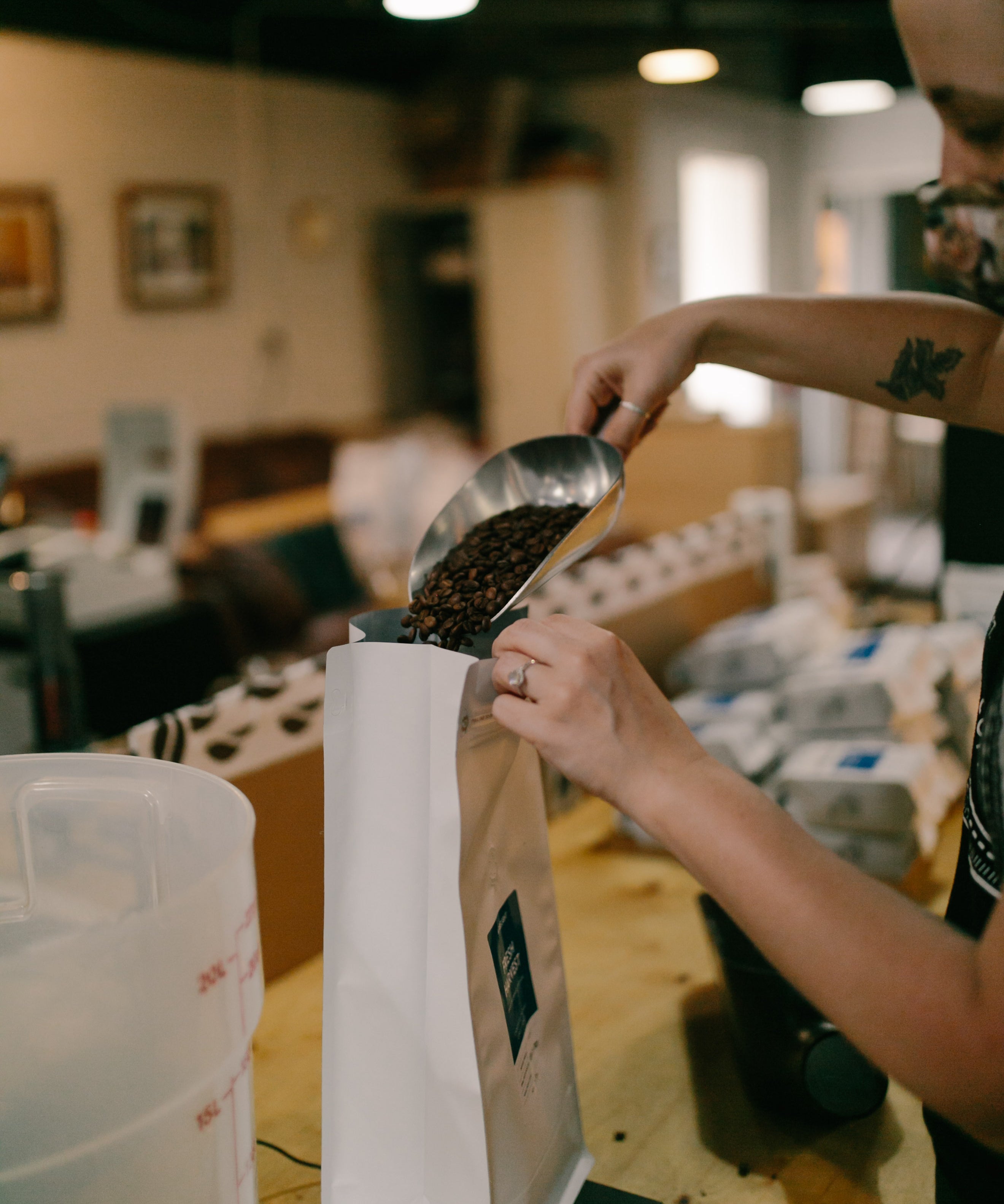 Roaster's Choice Subscription 5lb - Firelight Coffee