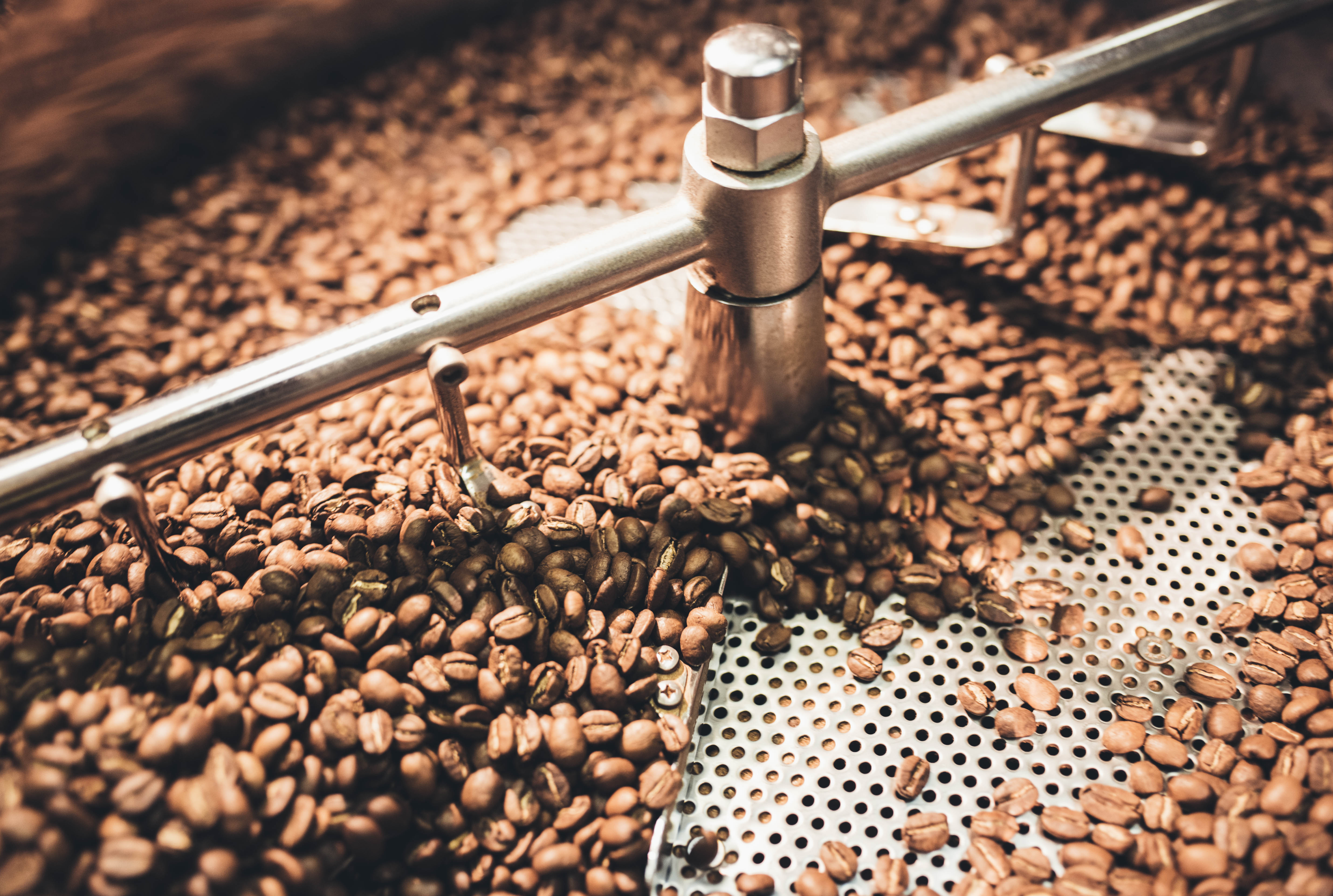 Coffee beans being cooled on a metal tray in the coffee roaster.