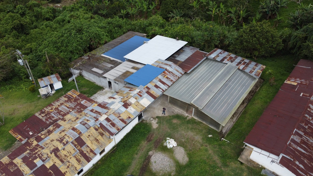 Decaf El Vergel Tolima image 5