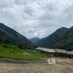 Tolima image 3