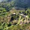 Decaf El Vergel Tolima - Image 4
