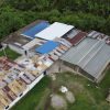 Decaf El Vergel Tolima - Image 6